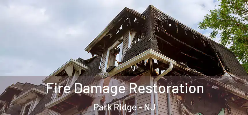 Fire Damage Restoration Park Ridge - NJ
