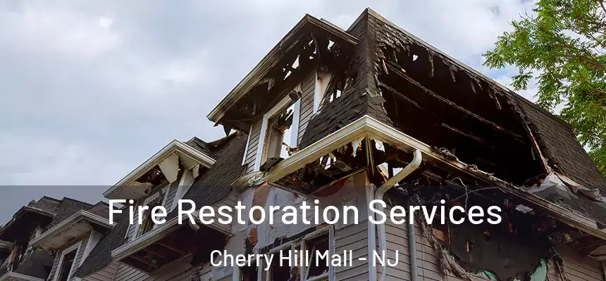 Fire Restoration Services Cherry Hill Mall - NJ