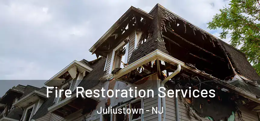  Fire Restoration Services Juliustown - NJ