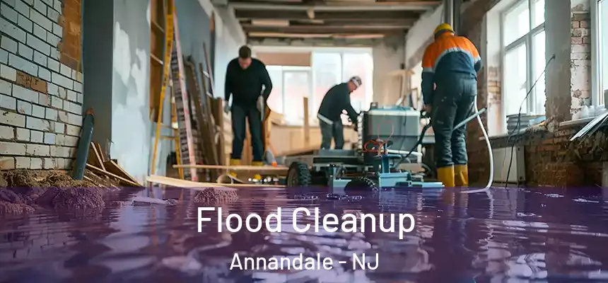  Flood Cleanup Annandale - NJ