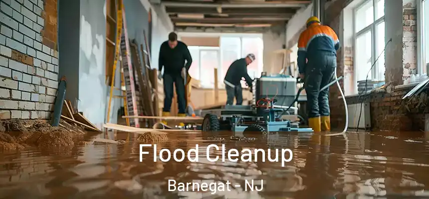  Flood Cleanup Barnegat - NJ