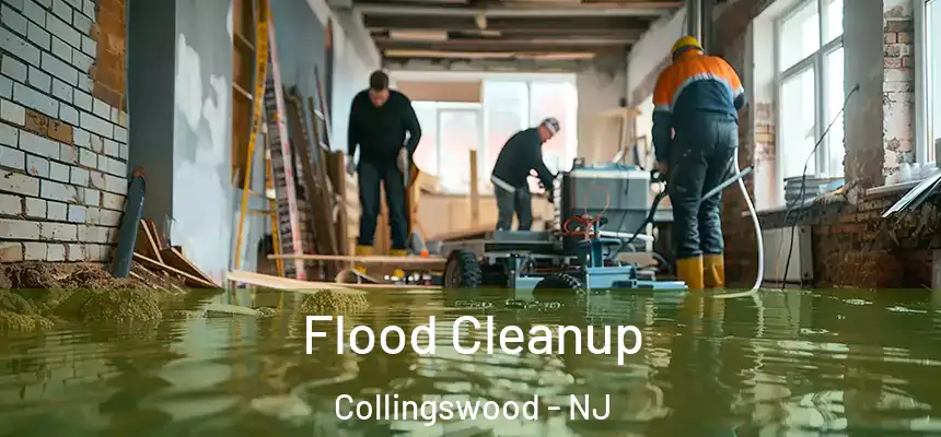  Flood Cleanup Collingswood - NJ