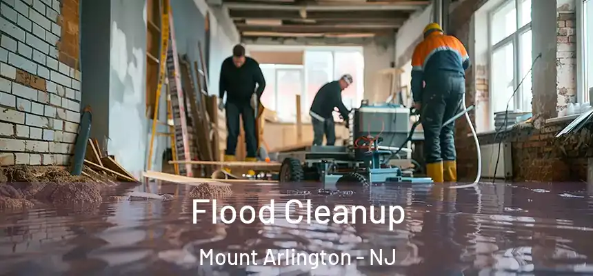 Flood Cleanup Mount Arlington - NJ