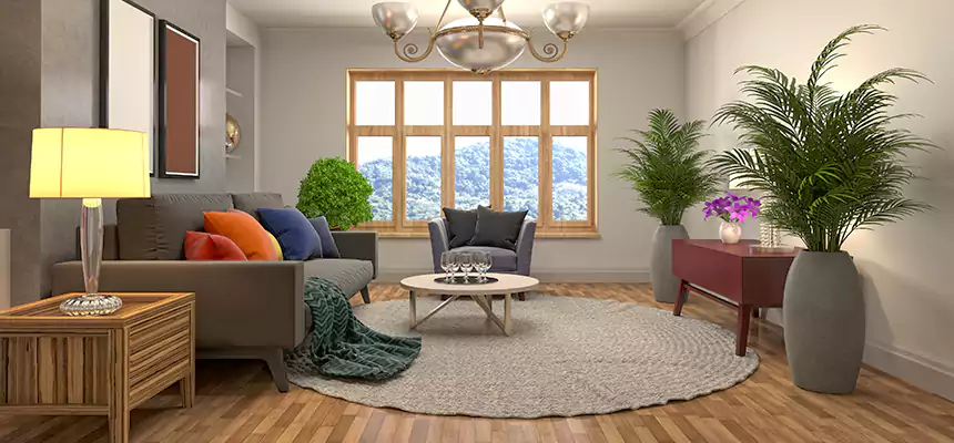 Local Water Mitigation in Clinton