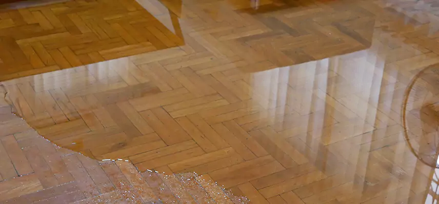 Laminate Wood Floor Water Damage Repair in Dover