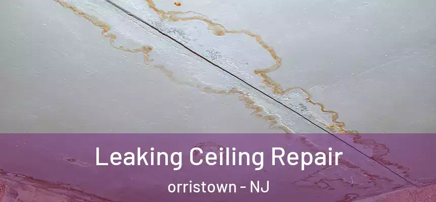  Leaking Ceiling Repair orristown - NJ