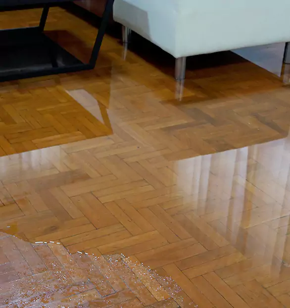 Trusted Emergency Water Restoration Company in Beverly, NJ