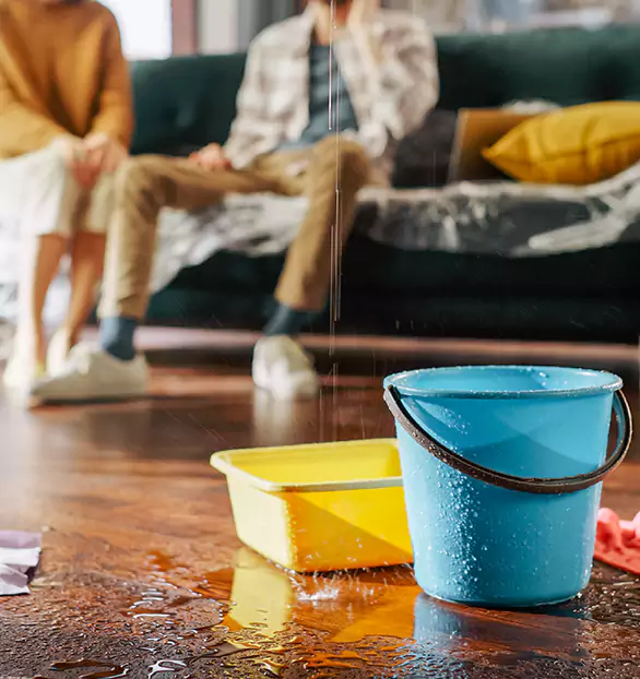 Trusted Water Mitigation Company in Dover, NJ