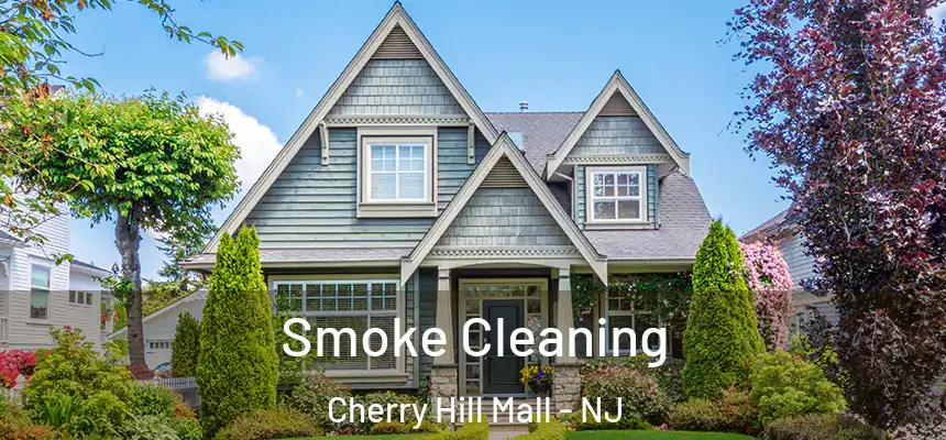 Smoke Cleaning Cherry Hill Mall - NJ