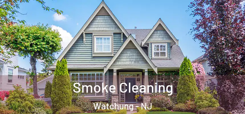  Smoke Cleaning Watchung - NJ